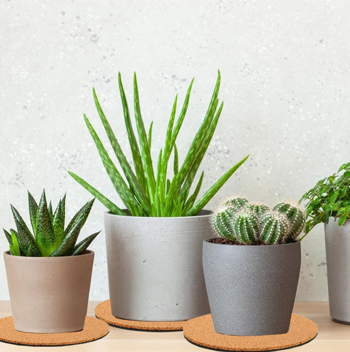 3-Piece Cork Coasters for Plants - Nude & Black