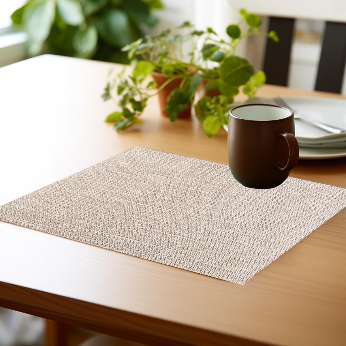 PIGCHCY Beige Placemats Set of 4 Vinyl PVC Durable Place Mats for Dining Table,Heat Resistant Non-Slip Woven Tabel Mats (18x12 inches, Beige)